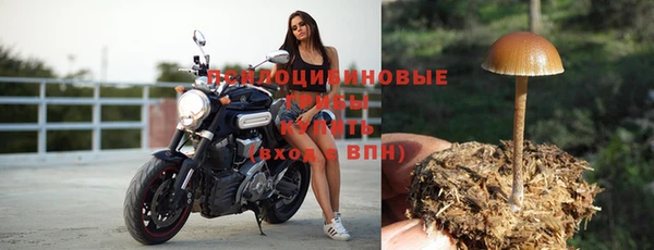 jwh Горняк