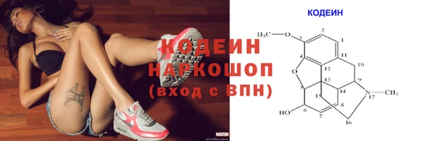 дмт Гусь-Хрустальный