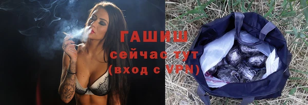 таблы Гусев